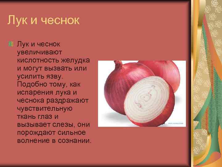 Лук и чеснок увеличивают кислотность желудка и могут вызвать или усилить язву. Подобно тому,