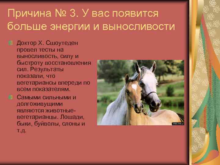 Причина № 3. У вас появится больше энергии и выносливости Доктор Х. Сшоутеден провел