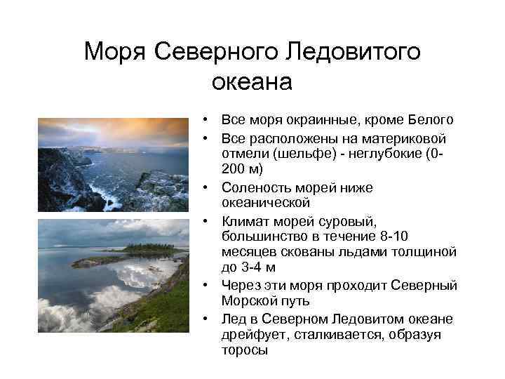 Моря Северного Ледовитого океана • Все моря окраинные, кроме Белого • Все расположены на