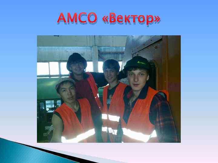 АМСО «Вектор» 