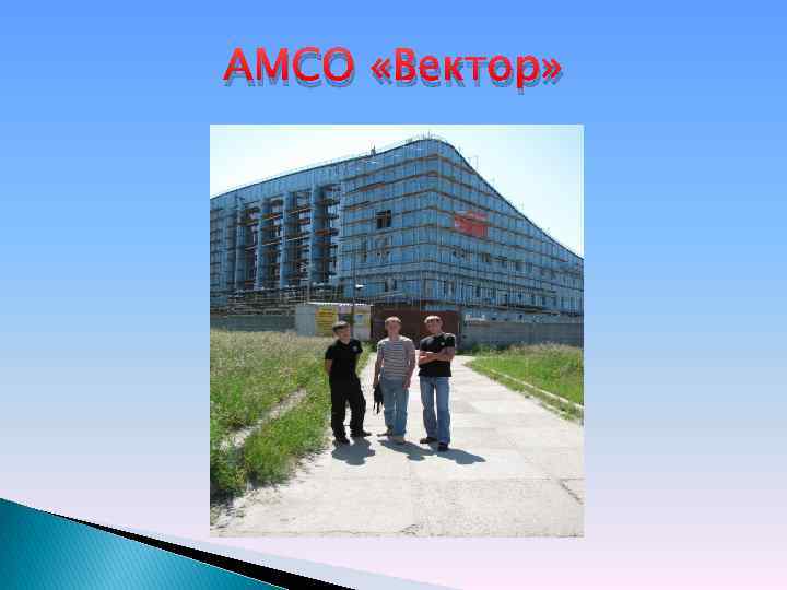 АМСО «Вектор» 