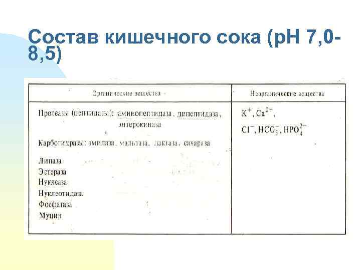 Состав кишечного сока (p. H 7, 08, 5) 