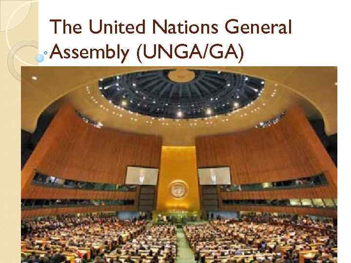 The United Nations General Assembly (UNGA/GA) 