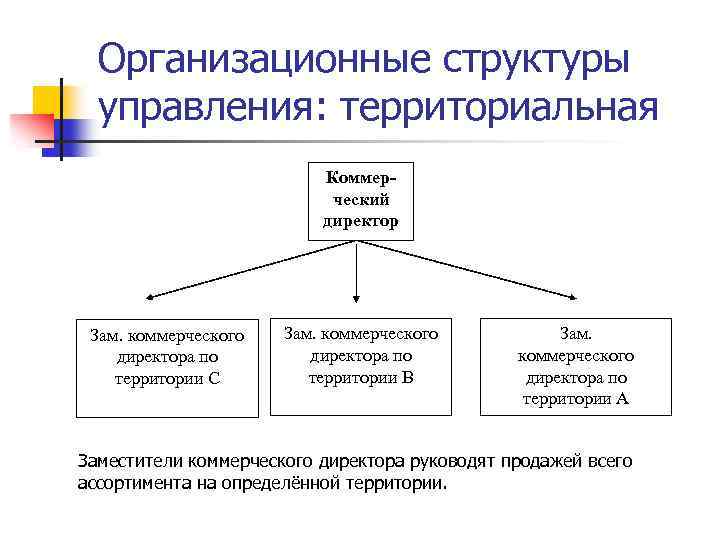 Организационные структуры управления: территориальная Коммерческий директор Зам. коммерческого директора по территории С Зам. коммерческого