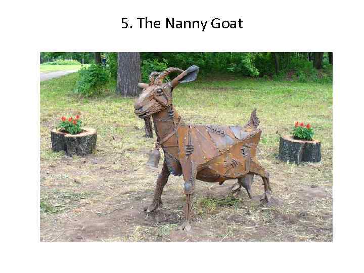 5. The Nanny Goat 