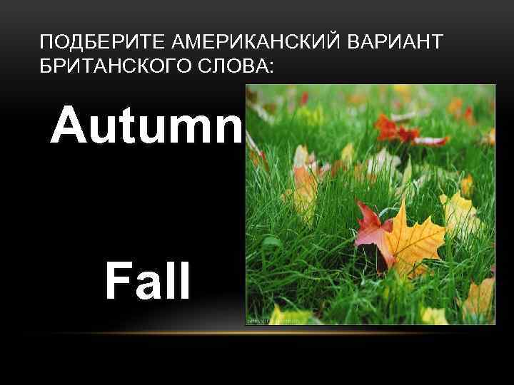 ПОДБЕРИТЕ АМЕРИКАНСКИЙ ВАРИАНТ БРИТАНСКОГО СЛОВА: Autumn Fall 