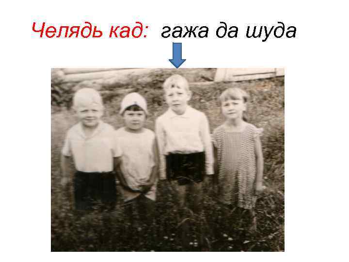 Челядь кад: гажа да шуда 