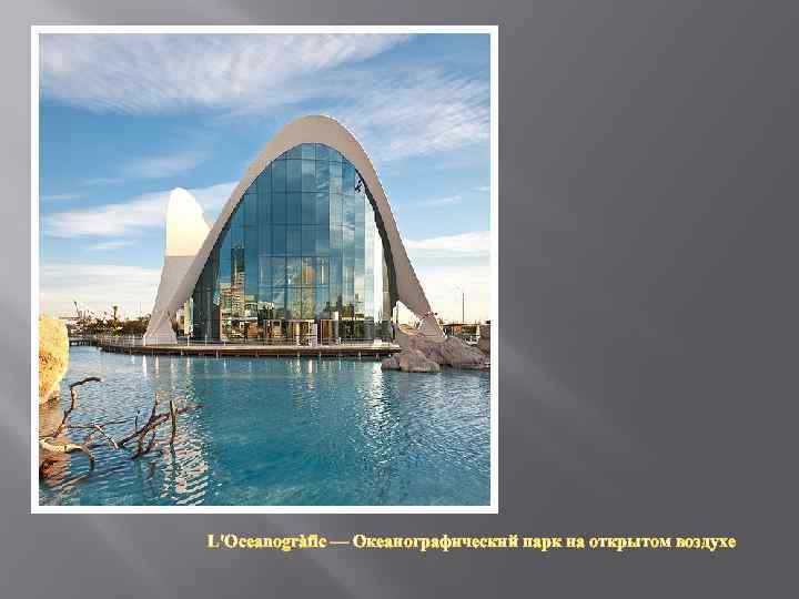 L'Oceanogràfic — Океанографический парк на открытом воздухе 