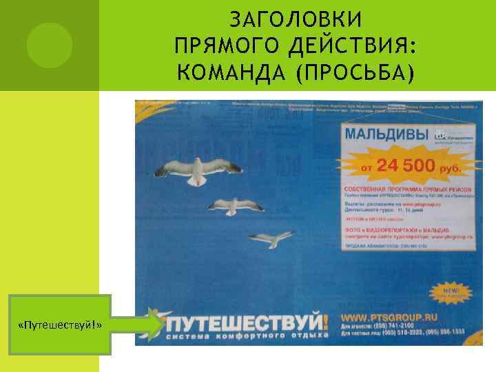 ЗАГОЛОВКИ ПРЯМОГО ДЕЙСТВИЯ: КОМАНДА (ПРОСЬБА) «Путешествуй!» 