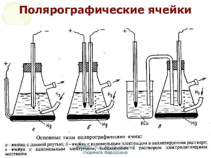 Полярографические ячейки МККОС. Л. К. № 10. Попова Людмила Федоровна 41 