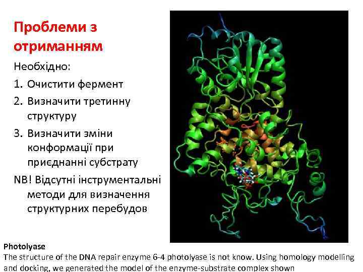 Проблеми з отриманням Необхідно: 1. Очистити фермент 2. Визначити третинну структуру 3. Визначити зміни