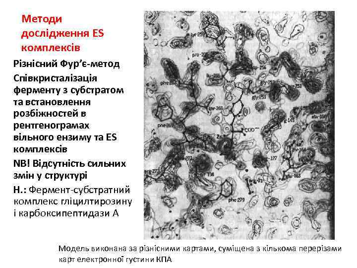Методи дослідження ES комплексів Різнісний Фур’є-метод Співкристалізація ферменту з субстратом та встановлення розбіжностей в