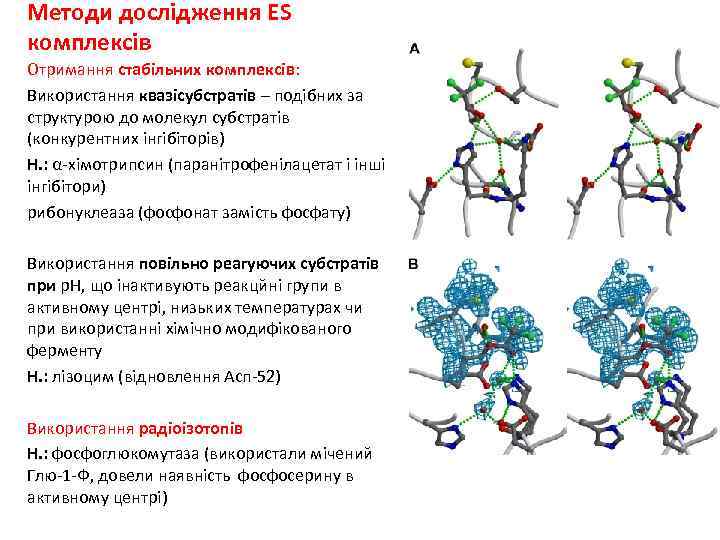 Методи дослідження ES комплексів Отримання стабільних комплексів: Використання квазісубстратів – подібних за структурою до