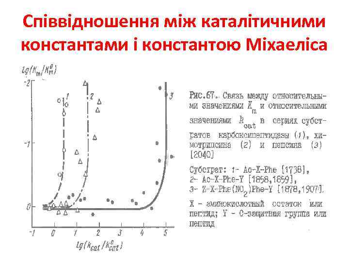 Співвідношення між каталітичними константами і константою Міхаеліса 