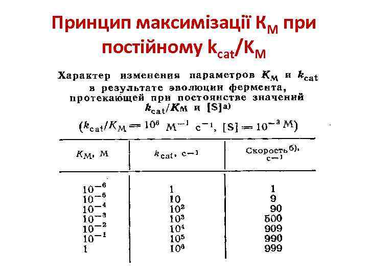 Принцип максимізації КМ при постійному kcat/KM 