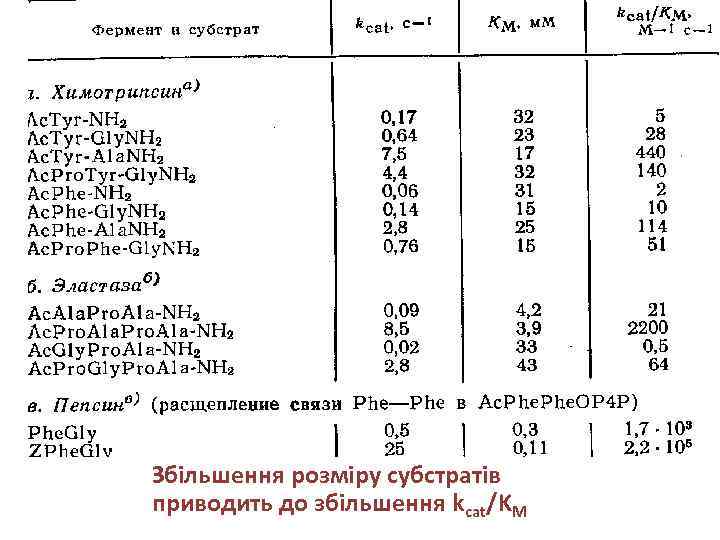 Збільшення розміру субстратів приводить до збільшення kcat/KM 