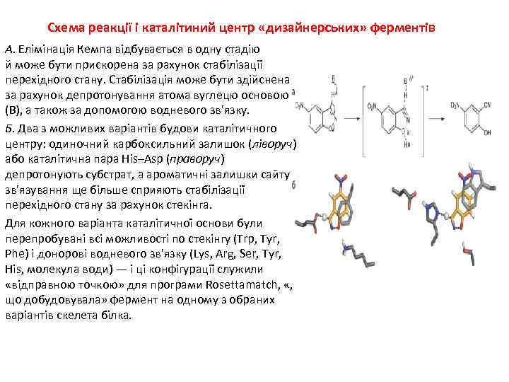 Схема реакції і каталітиний центр «дизайнерських» ферментів А. Елімінація Кемпа відбувається в одну стадію