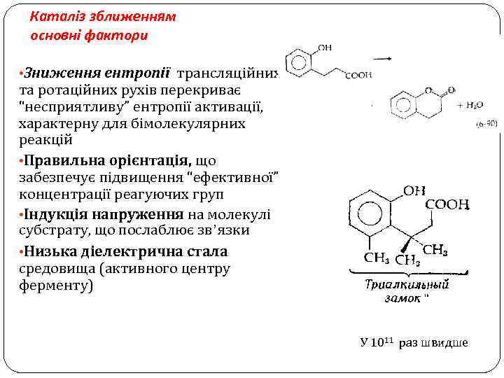 Каталіз зближенням основні фактори • Зниження ентропії трансляційних та ротаційних рухів перекриває “несприятливу” ентропії