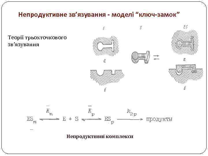 Непродуктивне зв’язування - моделі “ключ-замок” Теорії трьохточкового зв’язування Непродуктивні комплекси 