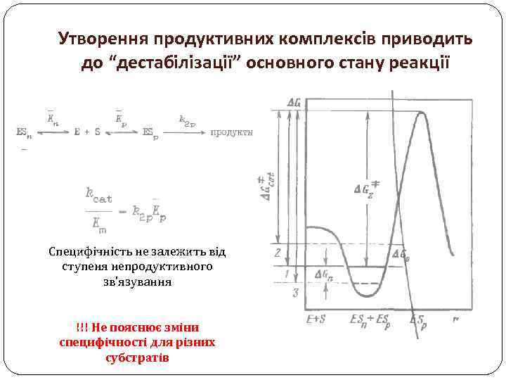 Утворення продуктивних комплексів приводить до “дестабілізації” основного стану реакції Специфічність не залежить від ступеня
