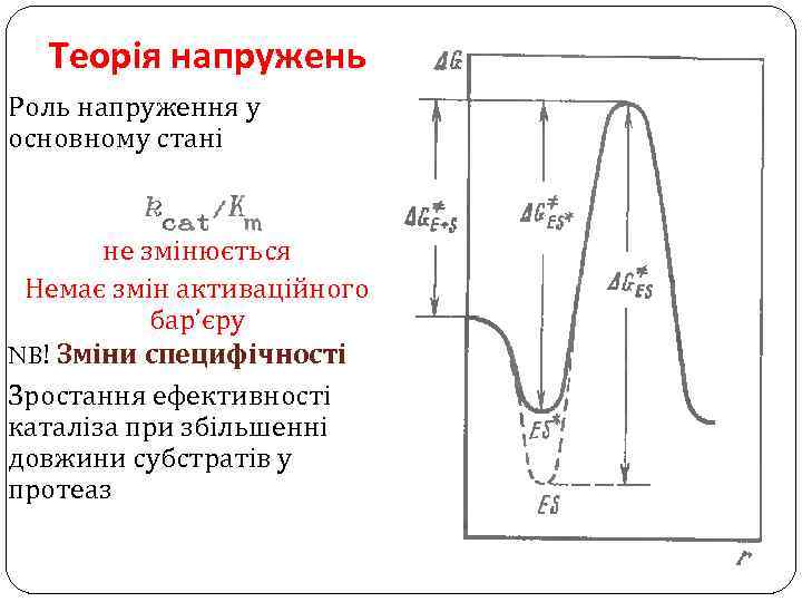 Теорія напружень Роль напруження у основному стані не змінюється Немає змін активаційного бар’єру NB!