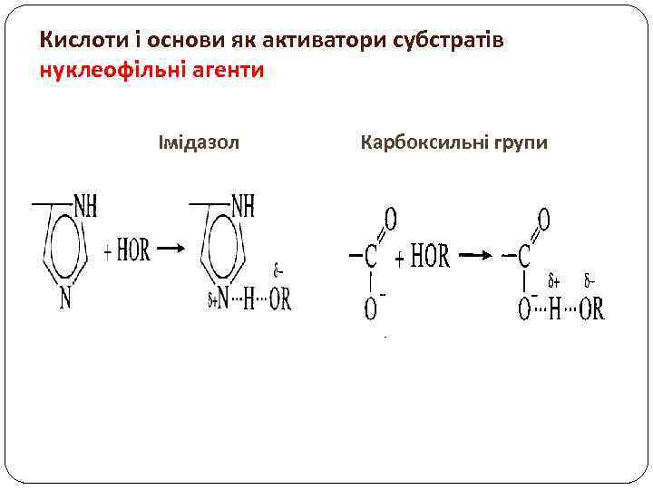 Кислоти і основи як активатори субстратів нуклеофільні агенти Імідазол Карбоксильні групи 