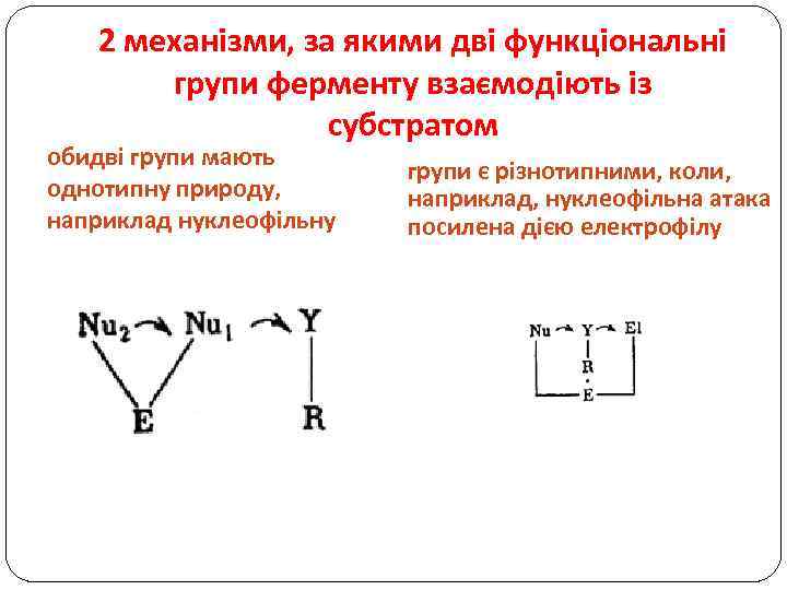 2 механізми, за якими дві функціональні групи ферменту взаємодіють із субстратом обидві групи мають