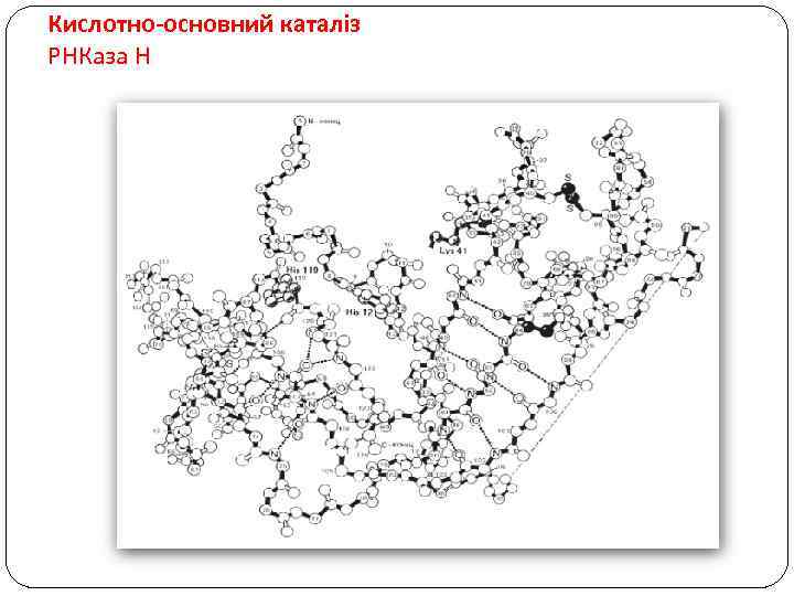 Кислотно-основний каталіз РНКаза Н 