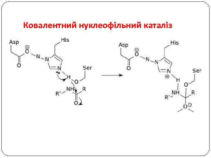 Ковалентний нуклеофільний каталіз 