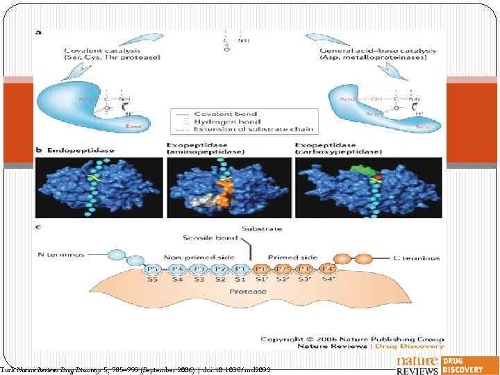 Turk Nature Reviews Drug Discovery 5, 785– 799 (September 2006) | doi: 10. 1038/nrd