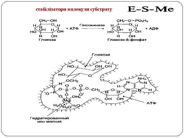 стабілізатори молекули субстрату 