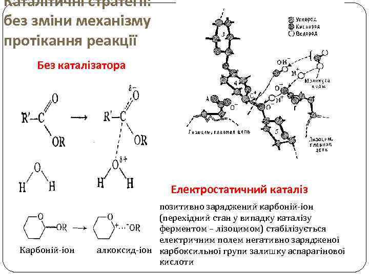 Каталітичні стратегії: без зміни механізму протікання реакції Без каталізатора Електростатичний каталіз Карбоній-іон позитивно заряджений
