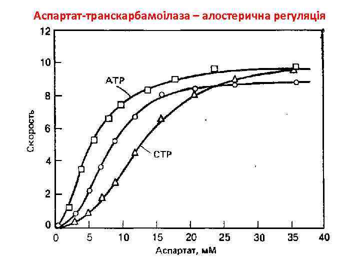 Аспартат-транскарбамоілаза – алостерична регуляція 