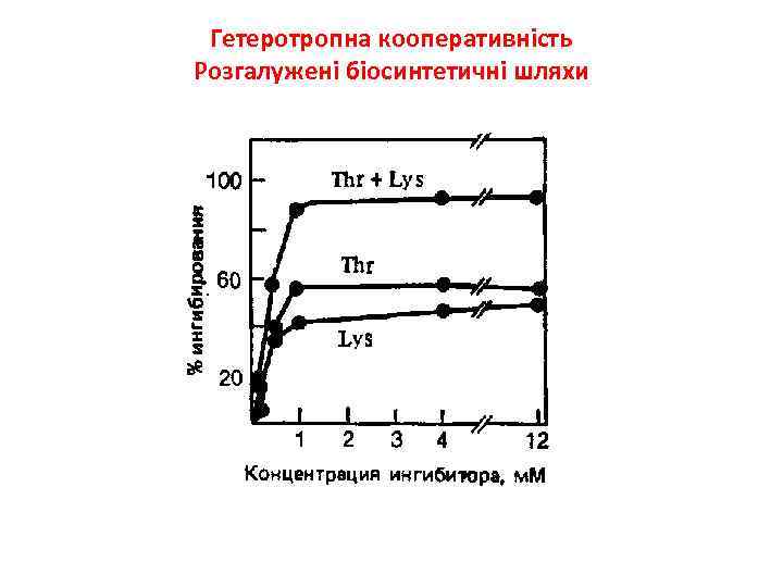 Гетеротропна кооперативність Розгалужені біосинтетичні шляхи 