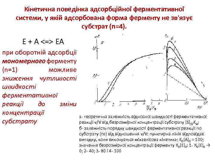 Кінетична поведінка адсорбційної ферментативної системи, у якій адсорбована форма ферменту не зв'язує субстрат (n=4).