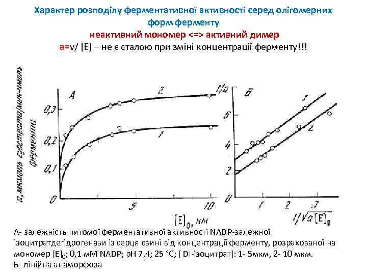 Характер розподілу ферментативної активності серед олігомерних форм ферменту неактивний мономер <=> активний димер а=v/