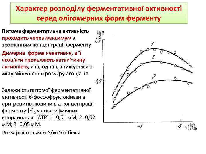 Характер розподілу ферментативної активності серед олігомерних форм ферменту Питома ферментативна активність проходить через максимум