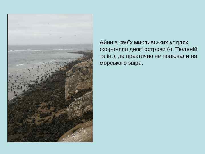 Айни в своїх мисливських угіддях охороняли деякі острови (о. Тюленій та ін. ), де