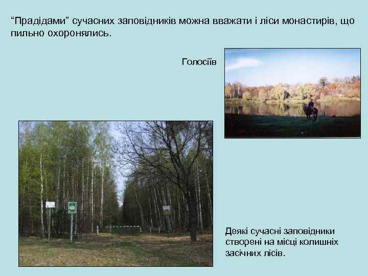 “Прадідами” сучасних заповідників можна вважати і ліси монастирів, що пильно охоронялись. Голосіїв Деякі сучасні