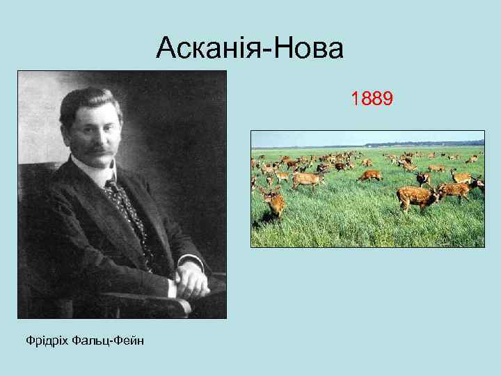 Асканія-Нова 1889 Фрідріх Фальц-Фейн 