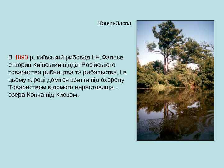 Конча-Заспа В 1893 р. київський рибовод І. Н. Фалеєв створив Київський відділ Російського товариства