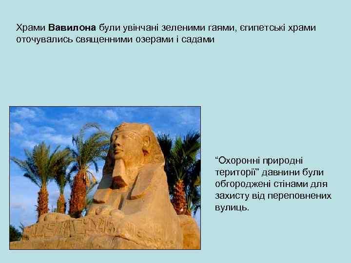 Храми Вавилона були увінчані зеленими гаями, єгипетські храми оточувались священними озерами і садами “Охоронні