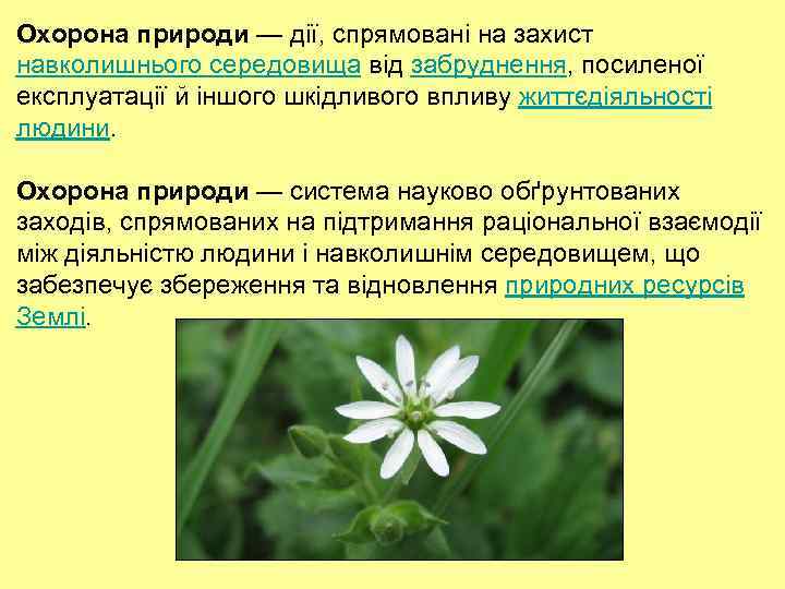 Охорона природи — дії, спрямовані на захист навколишнього середовища від забруднення, посиленої експлуатації й