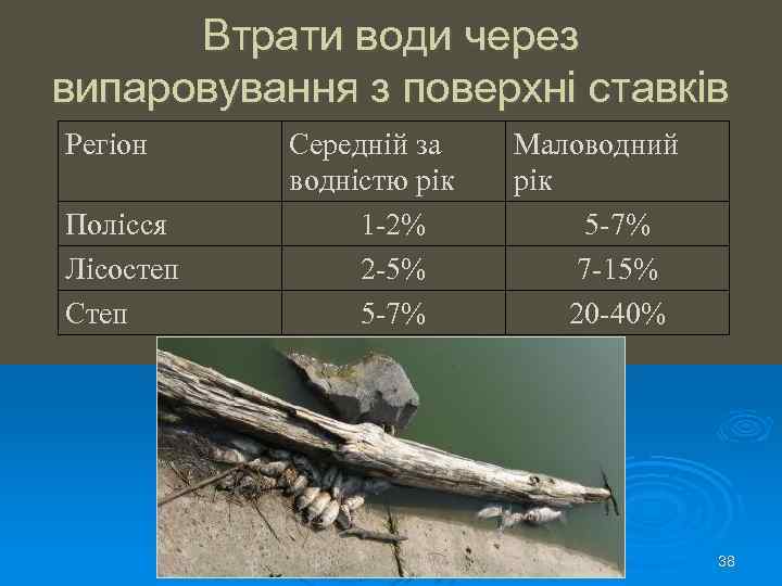 Втрати води через випаровування з поверхні ставків Регіон Полісся Лісостеп Середній за водністю рік