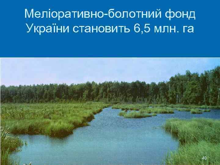 Меліоративно-болотний фонд України становить 6, 5 млн. га 40 