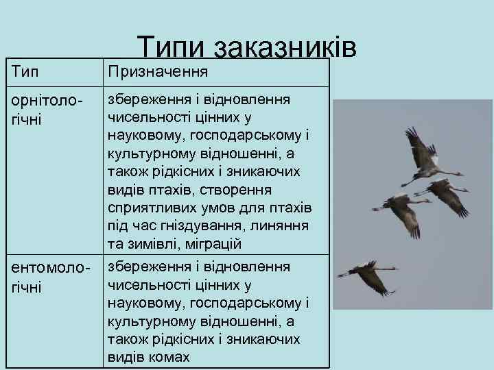 Типи заказників Тип Призначення орнітологічні збереження і відновлення чисельності цінних у науковому, господарському і