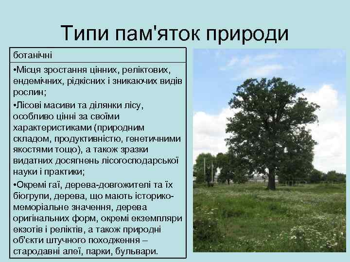 Типи пам'яток природи ботанічні • Місця зростання цінних, реліктових, ендемічних, рідкісних і зникаючих видів