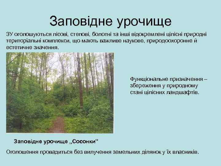 Заповідне урочище ЗУ оголошуються лісові, степові, болотні та інші відокремлені цілісні природні територіальні комплекси,