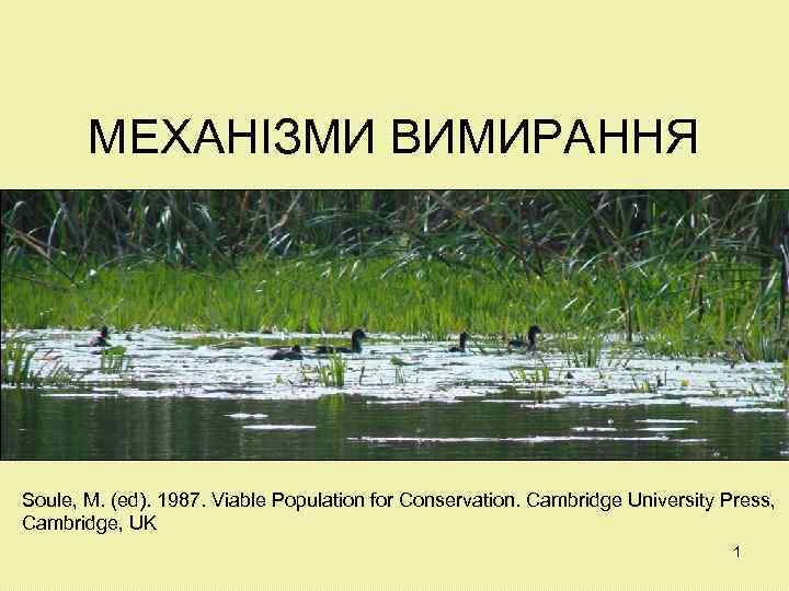 МЕХАНІЗМИ ВИМИРАННЯ Soule, M. (ed). 1987. Viable Population for Conservation. Cambridge University Press, Cambridge,