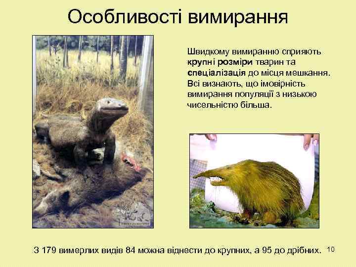 Особливості вимирання Швидкому вимиранню сприяють крупні розміри тварин та спеціалізація до місця мешкання. Всі